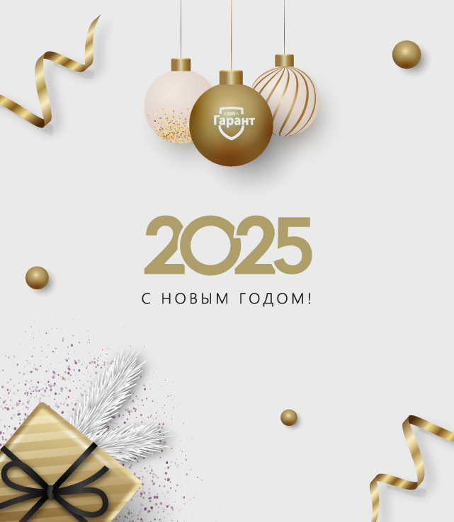 Новый год 2025